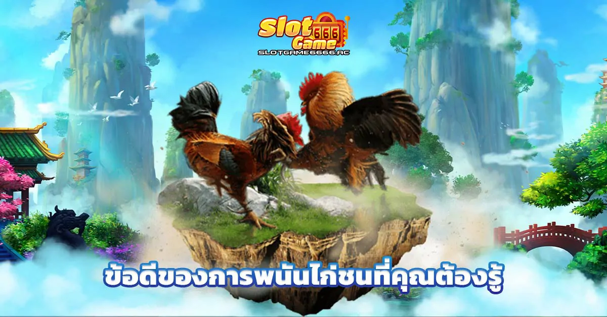 ข้อดีของการพนันไก่ชนที่คุณต้องรู้