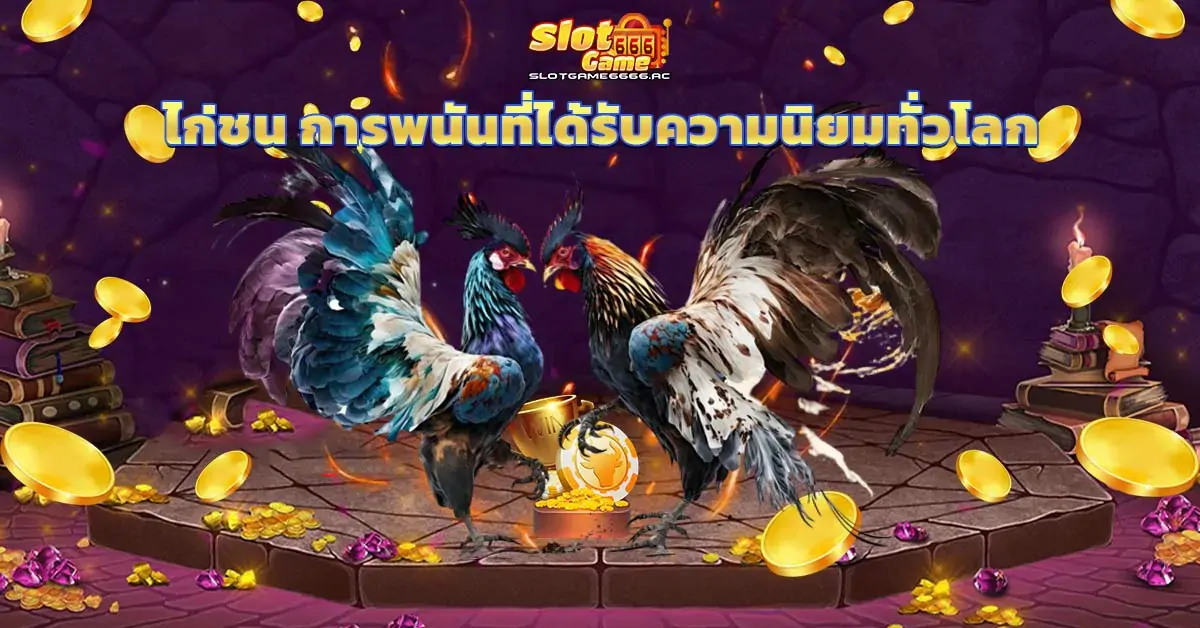 ไก่ชน การพนันที่ได้รับความนิยมทั่วโลก